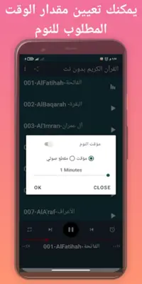 مشاري العفاسي القرآن بدون نت android App screenshot 2